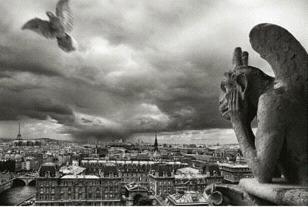 The Storm Watcher The Storm Watcher