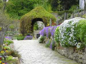 Vineyard of Montmartre, Paris