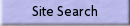 Site Search